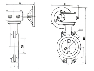 中線對夾式蝶(dié)閥結構示意圖(tu)