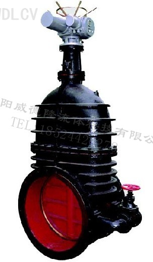 鑄鐵(tie)電動暗杆閘閥(fa) WDLZ941T-10 